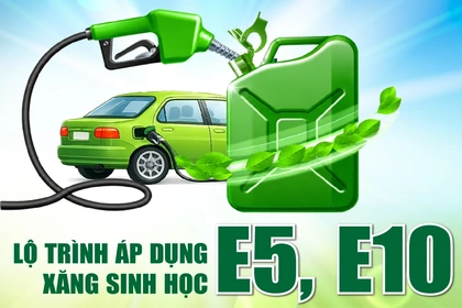 [Infographics] Lộ trình áp dụng xăng sinh học E5, E10